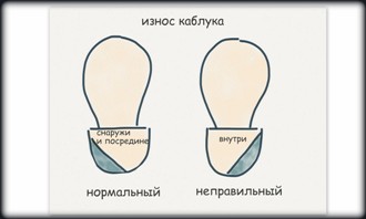 ����� �������